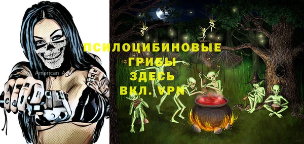 а пвп мука Мегион