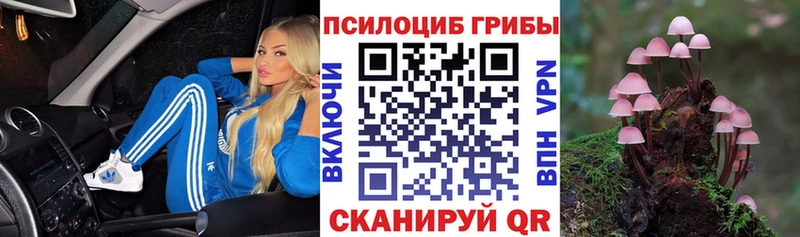 Псилоцибиновые грибы Psilocybine cubensis Купить где Магадан